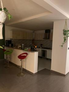Kuchyň nebo kuchyňský kout v ubytování Appartement a Salambo