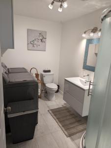 a bathroom with a toilet and a sink at Lac et Montagne Eastman in Eastman