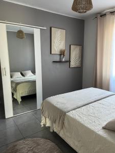 sypialnia z dwoma łóżkami i lustrem w obiekcie Villa climatisé avec piscine et jacuzzi w mieście Carpentras +37 zdjęć