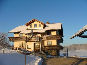 a house with a tin roof in the snow at Apartment Vrtacnik in Štefanja Gora