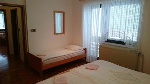 a small room with two beds and a window at Apartment Vrtacnik in Štefanja Gora