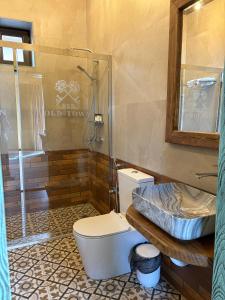 a bathroom with a toilet and a sink and a shower at Old Town in Çilǝgir