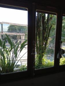 Κήπος έξω από το Habitación en Casita, PH