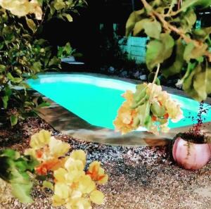a swimming pool in a garden with flowers at El Bodegón Hostal Boutique in Punta Del Diablo