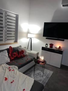 a living room with a couch and a flat screen tv at Ranczo pod lasem in Witnica