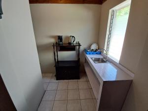 Kuchyň nebo kuchyňský kout v ubytování Mom's Place Negril
