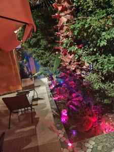 a koi pond with pink lights in a garden at Chez Fatima et Hervé in Somone