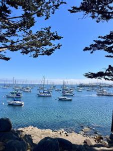 Une bande de bateaux assis dans l'eau dans l'établissement Romantic Carmel Cottage Ocean Country Views, à Carmel 14 autres photos