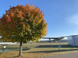 ein Baum auf einem Feld mit einem Flugzeug in der Unterkunft Tower Lodge in Schönhagen