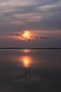 Foto dalla galleria di Souimanga Lodge a Fimela