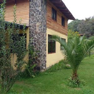 a house with a palm tree next to a building at Cabaña Paty in Mazamitla