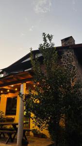 a house with a table and a tree in front of it at Cabaña Paty in Mazamitla +6 photos