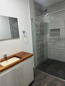 a bathroom with a shower with a sink and a mirror at Travesía Quindiana in Filandia +66 photos