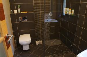 A bathroom at Sofia Apartment Kázmér