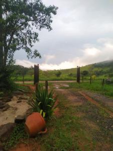 a dirt road with a plant next to a fence at Sitio Vivendas da Lua in Juiz de Fora