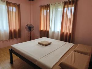 a bedroom with a bed with a fan and curtains at Daydream Hostel in San Juan +7 photos