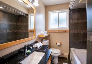 a bathroom with a sink and a toilet and a mirror at Swiss Chalet Motel in Revelstoke