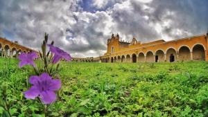 Aed väljaspool majutusasutust Buenosdías Izamal
