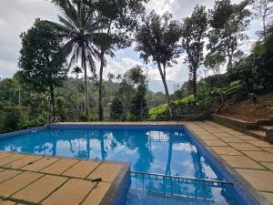 une piscine avec vue sur les montagnes dans l'établissement Vythiri Hill Palace, à Vythiri