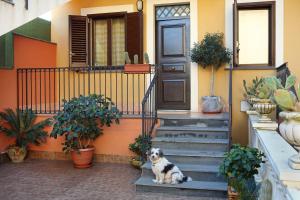 Domáce zviera alebo zvieratá hostí v ubytovaní Adriana casa vacanze mare Etna Sicilia