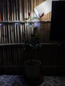 Fotografie z fotogalerie ubytování Area 369 v destinaci Džajpur