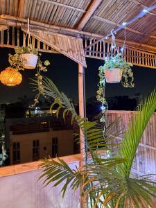 Fotografie z fotogalerie ubytování Area 369 v destinaci Džajpur