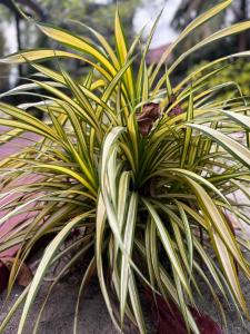 Фотография из галереи Ubay Guest House в Тринкомали