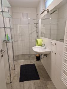 un bagno con lavandino e doccia di Altmünster mit Traunsteinblick ad Altmünster Altre 11 foto