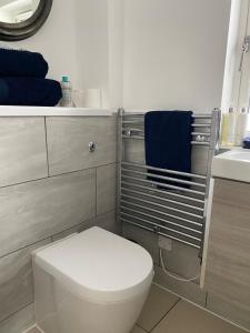 a bathroom with a white toilet and a sink at Seatribe Cabin, Cozy snug by the Sea in South Hayling