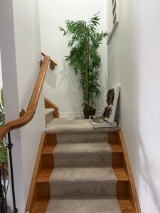 Galeriebild der Unterkunft Dream Homes in Thorold