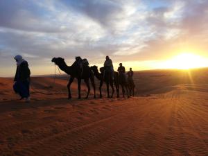 Tetamu yang menginap di Bivouac Le Petit Prince Merzouga