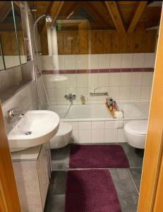 Koupelna v ubytování Haus der sieben Schwaben