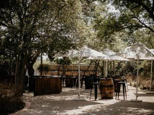 Φωτογραφία από το άλμπουμ του Stay At Simbali σε Tierpoort +6 φωτογραφίες