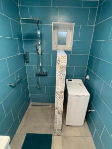 Koupelna v ubytování PP Apartman