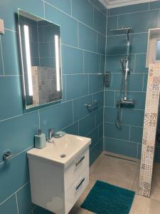Koupelna v ubytování PP Apartman