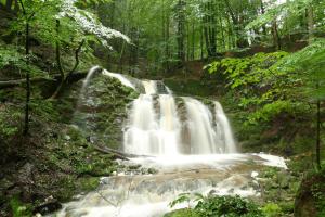 Paesaggio naturale nelle vicinanze dell'appartamento
