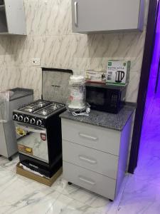 Dapur atau dapur kecil di Home for elite