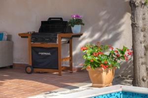 einen Grill neben einem Tisch mit zwei Topfpflanzen in der Unterkunft Villa Tereza with Private Pool, Jacuzzi & Sea View in Mlini