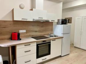 Kuchyň nebo kuchyňský kout v ubytování City Center Apartments - Moderna Brno Římské náměstí I
