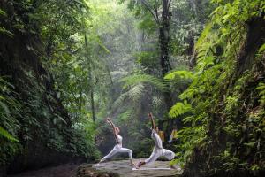 Phong cảnh thiên nhiên gần resort +58 ảnh