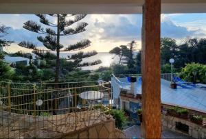a view from the balcony of a house with a tree at Bellavista in Torre dell'Orso