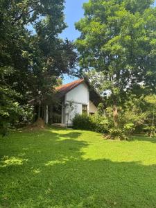 Zahrada ubytování Foresta Resort Sigiriya