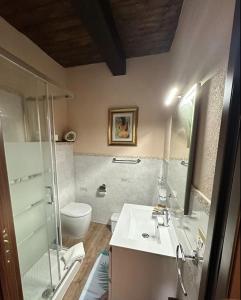 a bathroom with a sink and a shower and a toilet at La Casa delle Rondini in Baunei