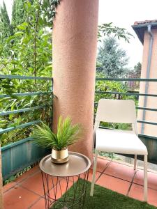 einen Stuhl, einen Tisch und eine Pflanze auf dem Balkon in der Unterkunft Charming T1 - Parking - Metro St Agne in Toulouse