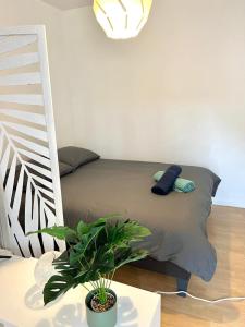 ein Bett mit zwei Kissen und einer Pflanze in einem Zimmer in der Unterkunft Charming T1 - Parking - Metro St Agne in Toulouse