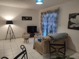 Μια τηλεόραση ή/και κέντρο ψυχαγωγίας στο Appartement (jardin clos et privatif)