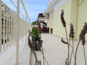 Fotografie z fotogalerie ubytování Uncle Tom's Penthouse v destinaci Piraeus