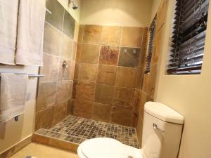 a bathroom with a shower and a toilet at Modern 1 Bedroom Apartment in Bloemfontein