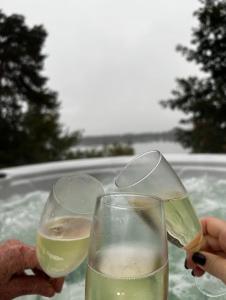 two people are drinking wine in a bath tub at Ferienhaus Oberspreewald in Schwielochsee