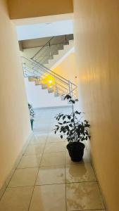 Fotografie z fotogalerie ubytování TASHINI Hotel v destinaci Kiribatkumbura